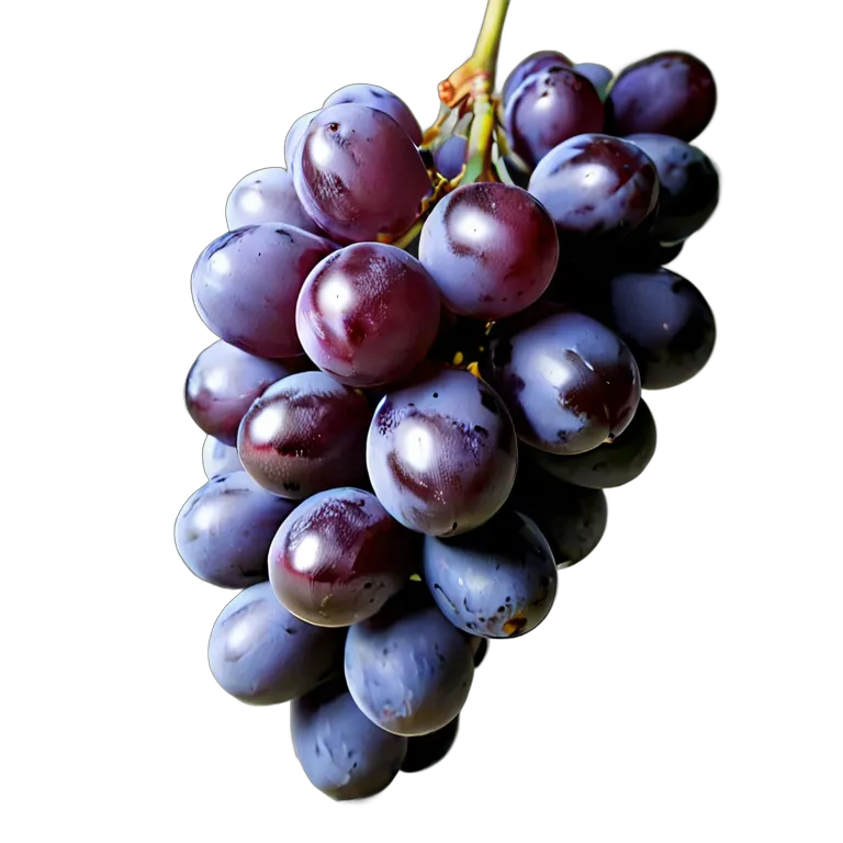 食べ物 果物 巨峰 透過 PNG 画像 フリー素材 #34219