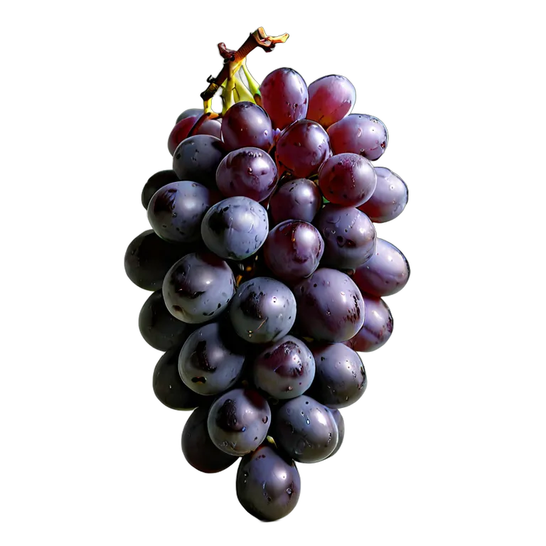 食べ物 果物 巨峰 透過 PNG 画像 フリー素材 #34220