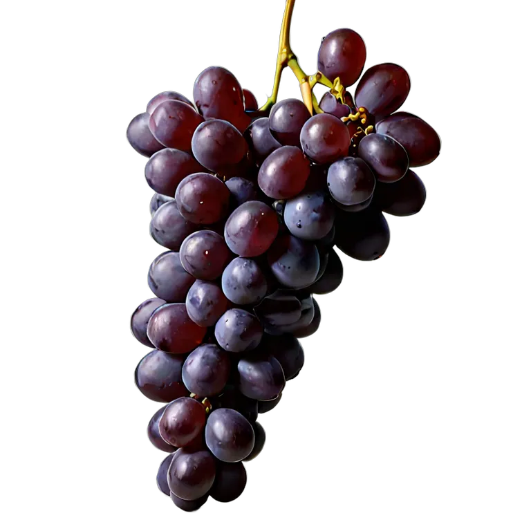 食べ物 果物 巨峰 透過 PNG 画像 フリー素材 #34221