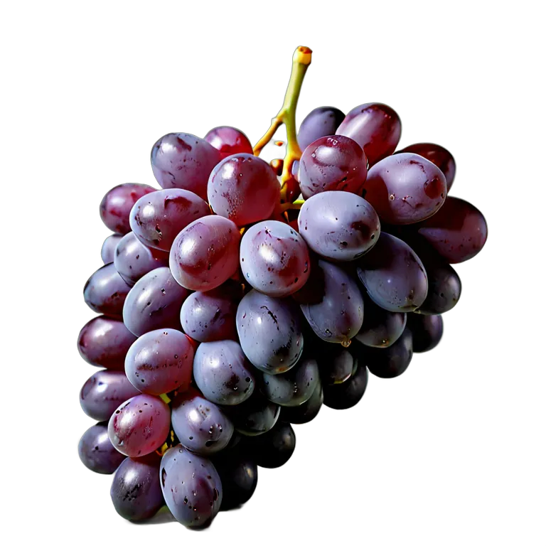 食べ物 果物 巨峰 透過 PNG 画像 フリー素材 #34222