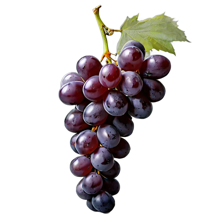 食べ物 果物 巨峰 透過 PNG 画像 フリー素材 #34224