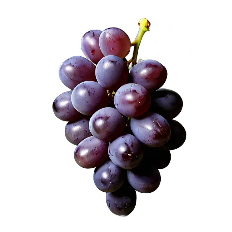 食べ物 果物 巨峰 透過 PNG 画像 フリー素材 #34225