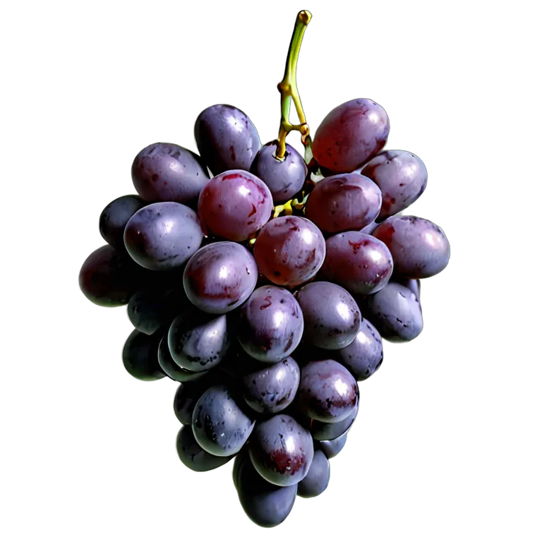 食べ物 果物 巨峰 透過 PNG 画像 フリー素材 #34227