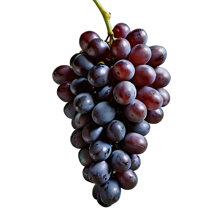 食べ物 果物 巨峰 透過 PNG 画像 フリー素材 #34231