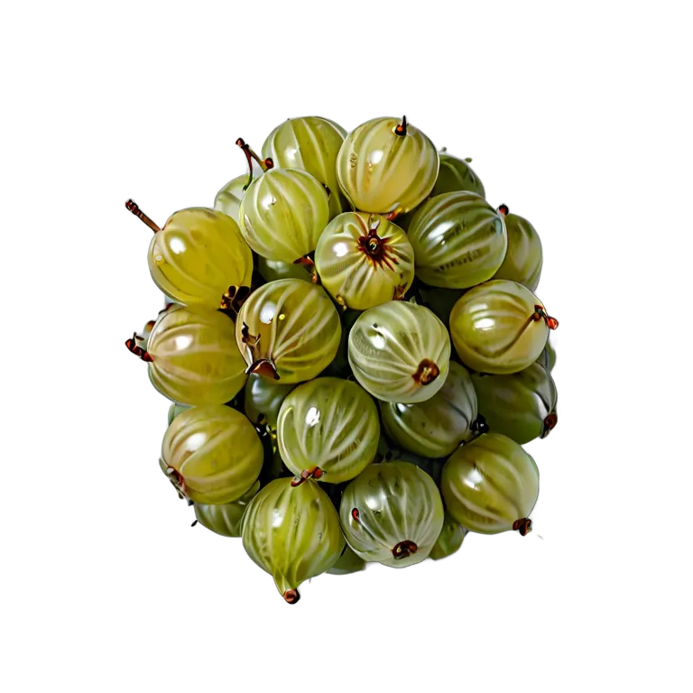 食べ物 果物 グーズベリーの房全体 透過 PNG 画像 フリー素材 #34186