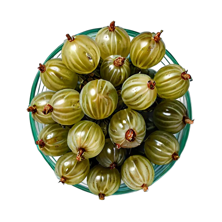 食べ物 果物 グーズベリーの房全体 透過 PNG 画像 フリー素材 #34189