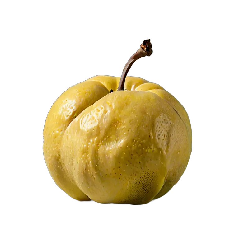 マルメロ丸ごと 透過 PNG 画像 フリー素材 #34274