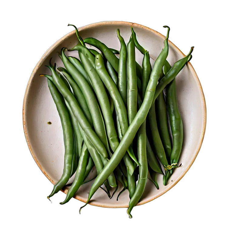 食べ物 野菜 アラブ風グリーンビーンズ 透過 PNG 画像 フリー素材 #32914