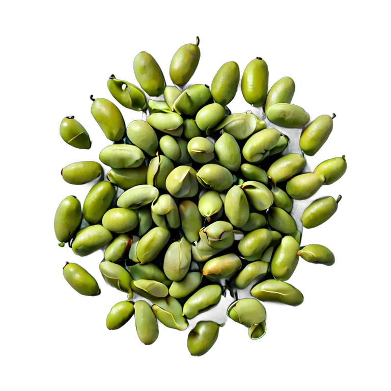 食べ物 野菜 新鮮な枝豆 透過 PNG 画像 フリー素材 #32948