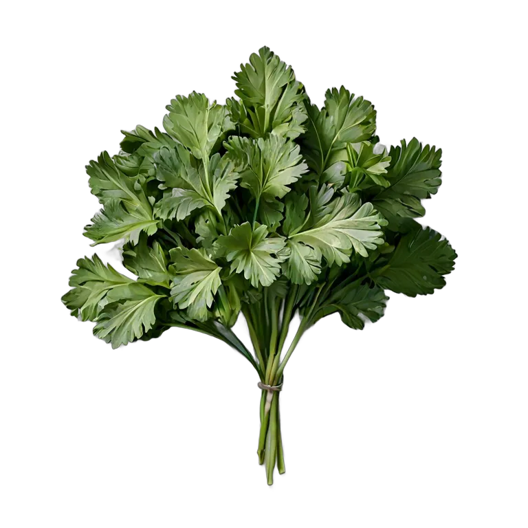 食べ物 野菜 ミツバ 透過 PNG 画像 フリー素材 #32903