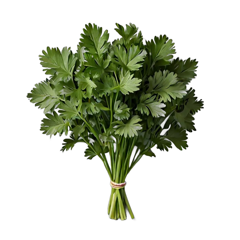 食べ物 野菜 ミツバ 透過 PNG 画像 フリー素材 #32904