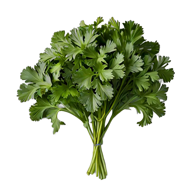 食べ物 野菜 ミツバ 透過 PNG 画像 フリー素材 #32905