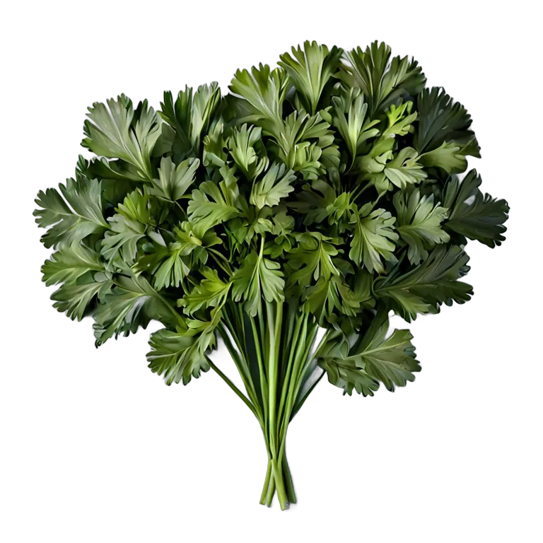 食べ物 野菜 ミツバ 透過 PNG 画像 フリー素材 #32909