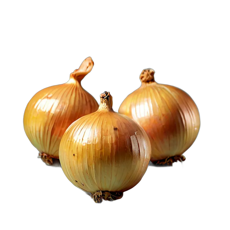 食べ物 野菜 スペイン産黄玉ねぎ 透過 PNG 画像 フリー素材 #32898