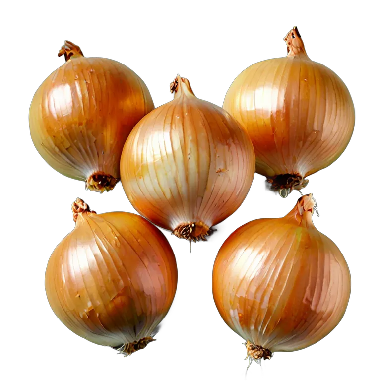 食べ物 野菜 スペイン産黄玉ねぎ 透過 PNG 画像 フリー素材 #32899