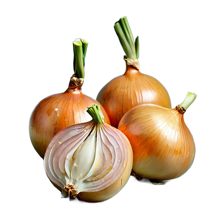 食べ物 野菜 スペイン産黄玉ねぎ 透過 PNG 画像 フリー素材 #32901