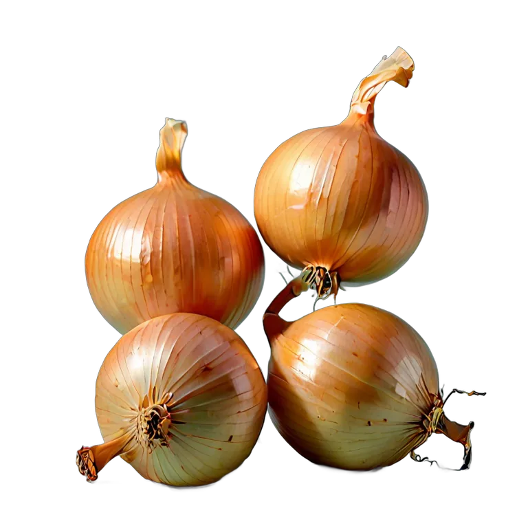 食べ物 野菜 スペイン産黄玉ねぎ 透過 PNG 画像 フリー素材 #32902