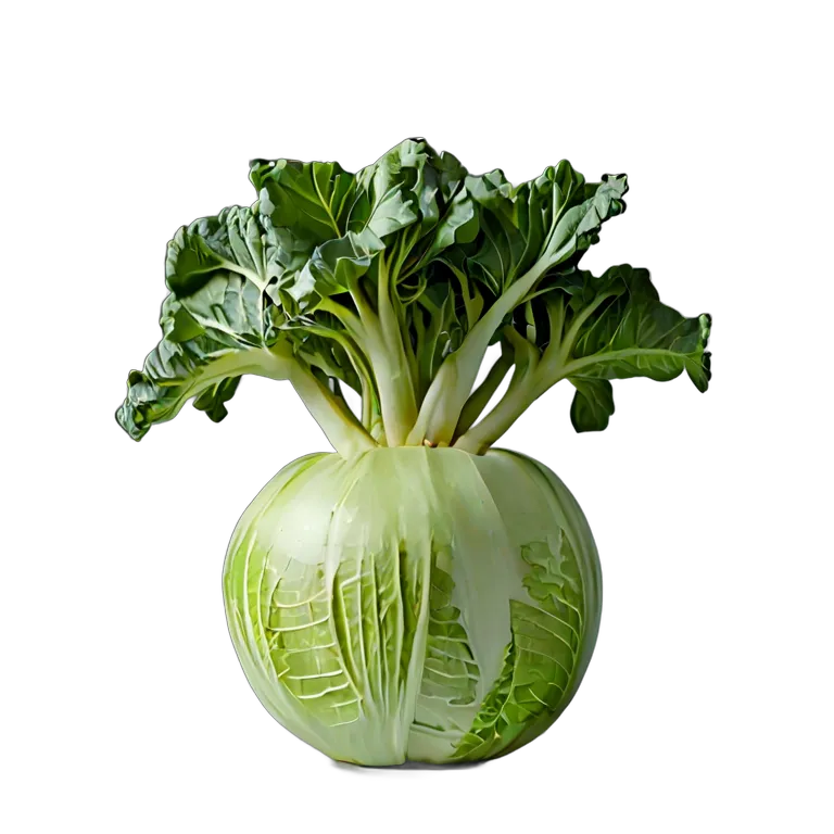 食べ物 野菜 コールラビ丸ごと 透過 PNG 画像 フリー素材 #32922