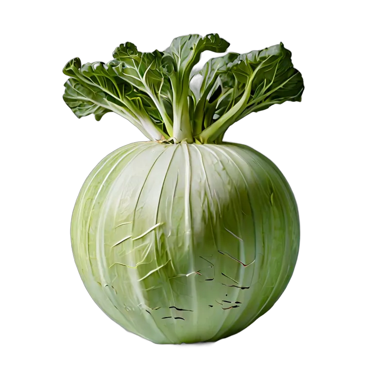 食べ物 野菜 コールラビ丸ごと 透過 PNG 画像 フリー素材 #32926