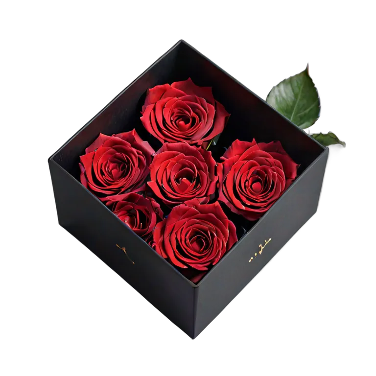 plant flowers luxury-box-of-preserved-red-roses Transparent PNG Image Free Resource #18946