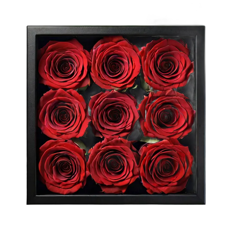 plant flowers luxury-box-of-preserved-red-roses Transparent PNG Image Free Resource #18951
