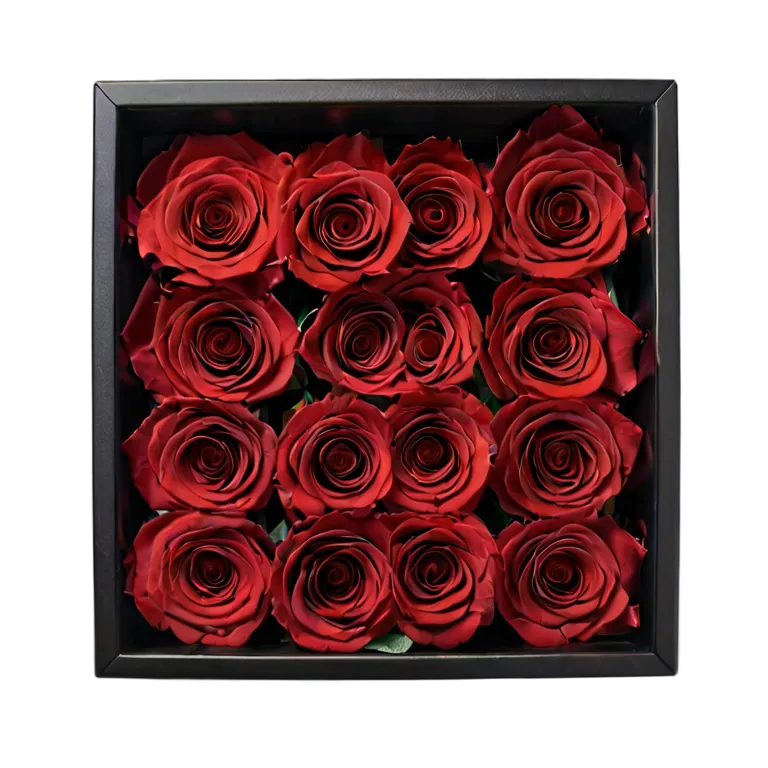 plant flowers luxury-box-of-preserved-red-roses Transparent PNG Image Free Resource #18952